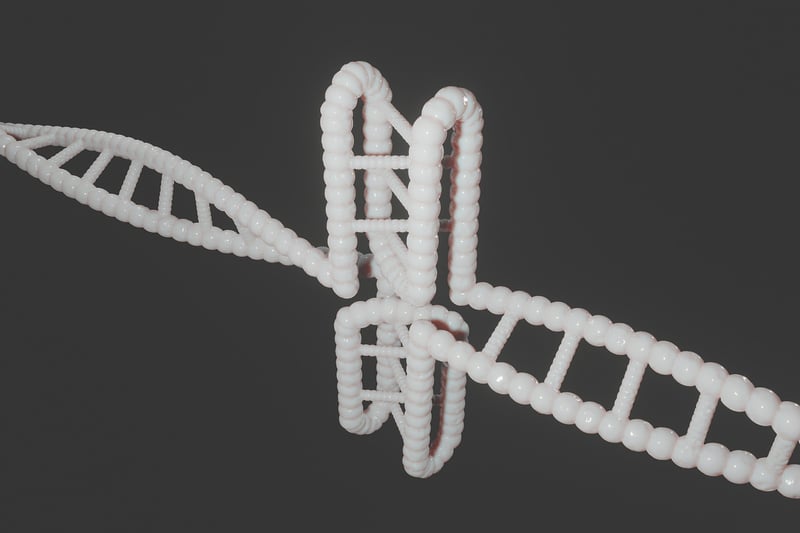 DNA Strands